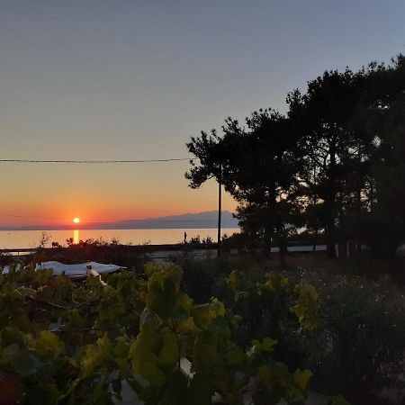Το Σπίτι Με Το Πηγάδι - Wellcottage Thassos Skala Kallirakhis Ngoại thất bức ảnh