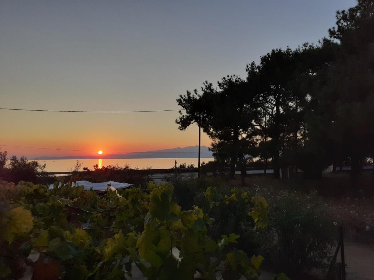 Το Σπίτι Με Το Πηγάδι - Wellcottage Thassos Skala Kallirakhis Ngoại thất bức ảnh