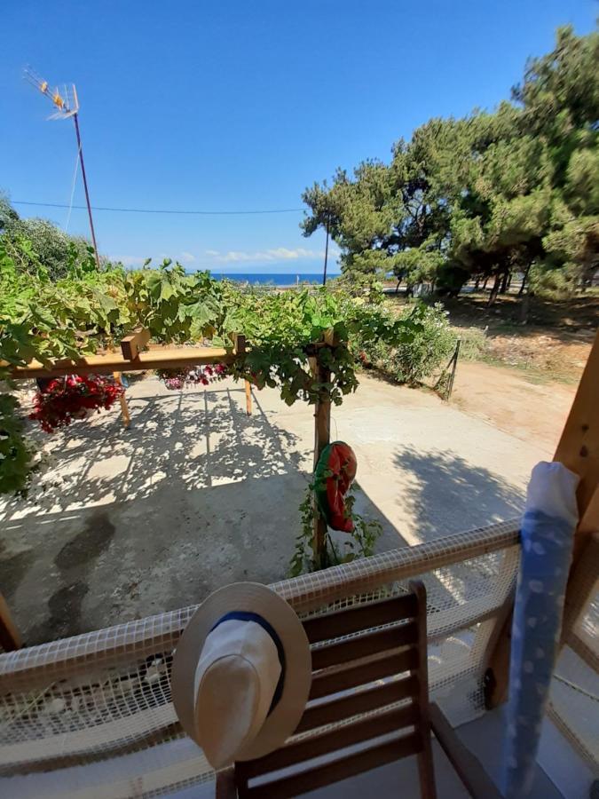 Το Σπίτι Με Το Πηγάδι - Wellcottage Thassos Skala Kallirakhis Ngoại thất bức ảnh