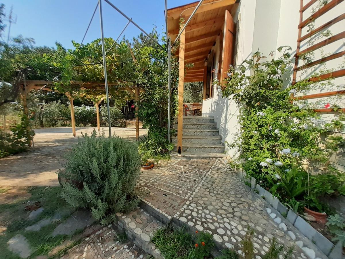 Το Σπίτι Με Το Πηγάδι - Wellcottage Thassos Skala Kallirakhis Ngoại thất bức ảnh