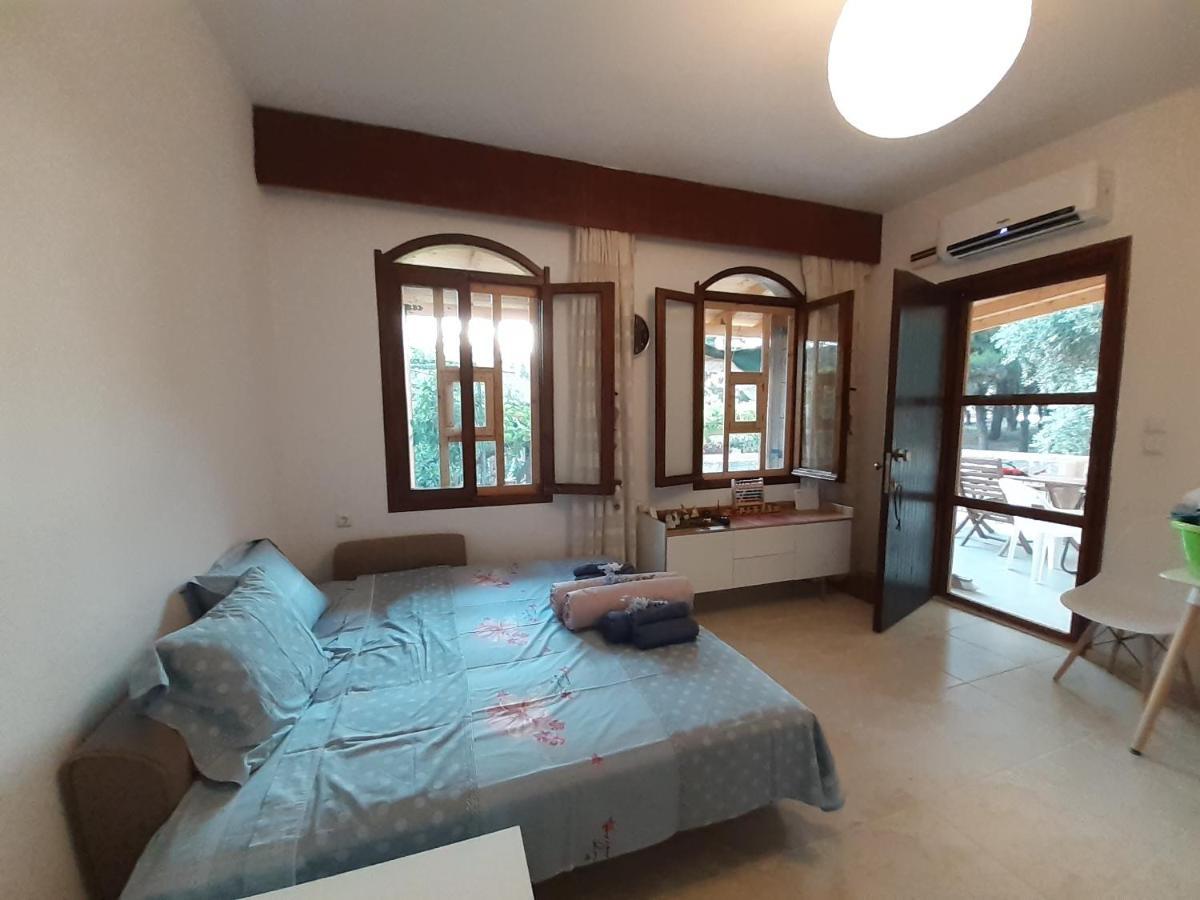 Το Σπίτι Με Το Πηγάδι - Wellcottage Thassos Skala Kallirakhis Ngoại thất bức ảnh