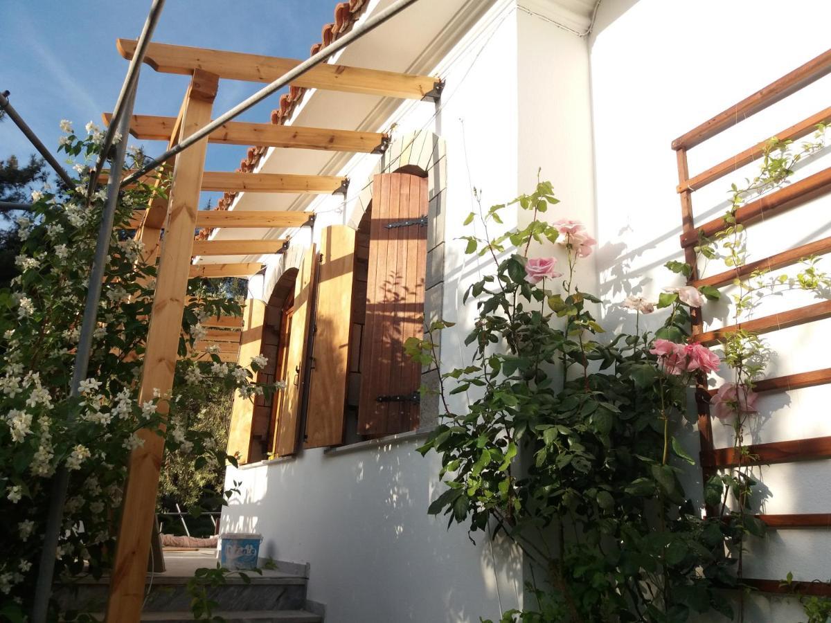 Το Σπίτι Με Το Πηγάδι - Wellcottage Thassos Skala Kallirakhis Ngoại thất bức ảnh