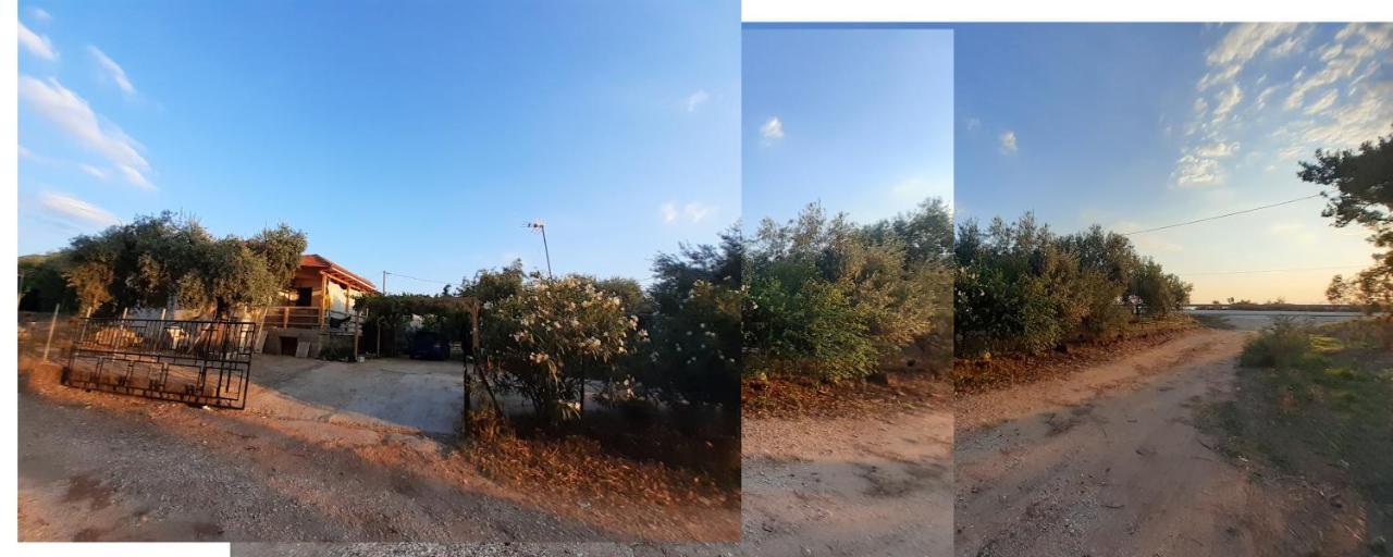 Το Σπίτι Με Το Πηγάδι - Wellcottage Thassos Skala Kallirakhis Ngoại thất bức ảnh